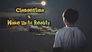 Clandestina x Wake Up to Reality 🗿#clandestinos #wakeuptoreality #nocopyrightsounds #slowedandreverb