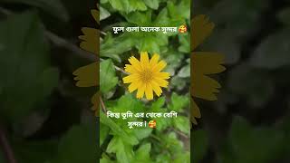 Konna (কন্যা) Full Video Song | Shajal | Nusrat Faria | Imran | Kona | Robiul Islam Jibon | Jinn 3
