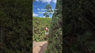 ENGLISH  LABYRINTH #2025    #shortsfeed #EnglishGarden, #HideAndSeek, #FunnyScare, , #ComedyShorts,