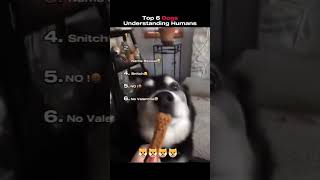 Dogs Understanding Humans #youtube #youtuber #instagram #music #spotify #tiktok #love #funny #dog