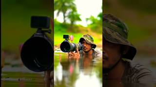 Bird Photography Rdk Sumon 4k | Wildlife Photography #shorts #youtubeshorts #photography