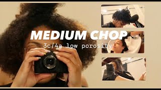 MEDIUM CHOP  | 3c/4a hair low porosity