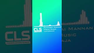 Punnagai Mannan Theme | Orchestral Cover | Ilaiyaraaja Tribute #tamilbgm #tamilmusic #ilayaraja