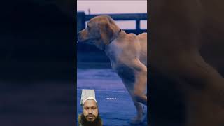 777charlie #charliedits #doglover #dog #tamil #charlieedits #love #charliecreation