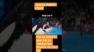 Jassica attack #jassica #orca #dolphin #dolphinattack171 #viral #explore #dolphinsanctuary #trading
