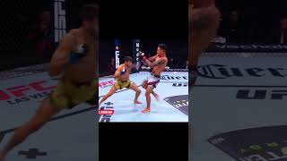 Part 6: 1 minute of most brutal knockouts  #khabibnurmagomedov #ufc #mma #youtubeshorts #explore