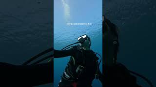 What my peace looks like… #diving #femaletravel #oceanlife #travel #scuba #underwater #ocean #diving
