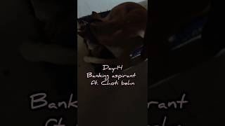 Day-14, waiting for that one day. #ibpspo #ibpspreparation #journeywithinjournals #aspirantlife #sbi