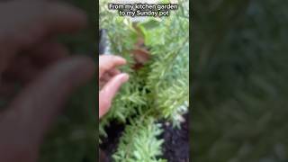 Stir It Up | Sunday Cooking with Fresh Herbs, Coconut Milk & Island Vibes 🌿✨