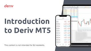 Introduction to Deriv MT5 (non-EU client)