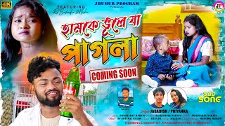 হামকে ভুলে যা পাগলা || Jagadish Priyanka || New Purulia Sad Song 2024 || Feat - RS Sailendra & Nisha