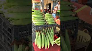 Boiled corn on the road ! The best with salted radish | Street food. #streetfood #food #shorts