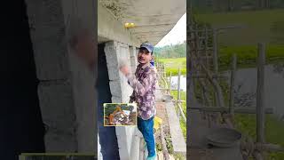 😭😭🙏 সভাই subscribe কৰুণ 🙏😭#foryou #shorts #trending #Backup_Tik_tok