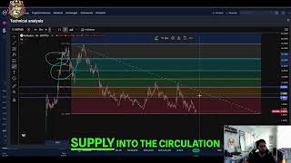 Polkadot DOT Price Prediction: DOT's Bull Run?