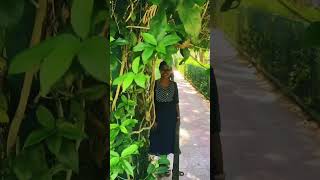 #backgroundmusicwithoutlimitations #shorts #trending #shortvideo