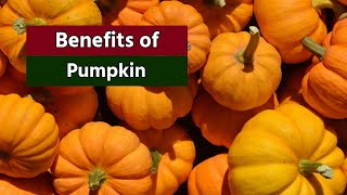 Benifits of pumpkin fruits | Healthy food | pumpkin