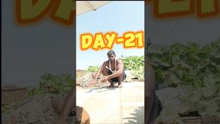 DAY 21 OF 💯 DAY'S HARD CHALLENGE #viral #motivation #fitness #75hard #minivlog