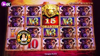 15枚のゴールドヘッドすべて - バッファローキングが巨大ジャックポットを獲得