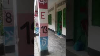 আমার কর্মস্থল/ আমার স্কুল/ অজোপাড়া গাঁয়ের ভিতর তাই এমন শান্ত। #nature #villagenature #viralvideo