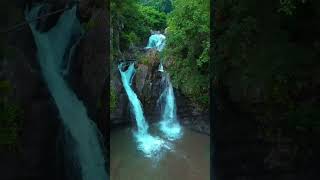 India’s Tallest Hidden Giant – Barehipani Falls 🇮🇳”🌿 #BarehipaniFalls #HiddenIndia