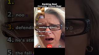 Ranking Best Hamster Videos Ever