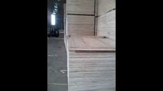 nhà máy ván ép - goxaydung.vn