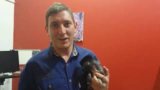 PetPassion Vaccination