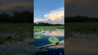 Beauty of kanaiya,gazipur...🥀🥀