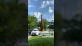Rare photos you've seen before 😱🤯 #rare #rarephotos #photography #picture #fyp
