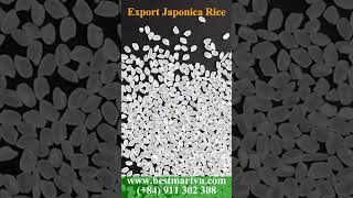 🌾 PREMIUM JAPANESE RICE – AUTHENTIC TASTE & SUPERIOR QUALITY! 🍚✨