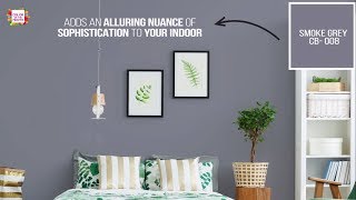 BERGER COLOR OF THE MONTH- SMOKE GREY