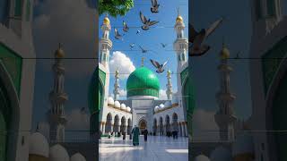new islamic status new shorts video like and subscribe ❤️❤️❤️
