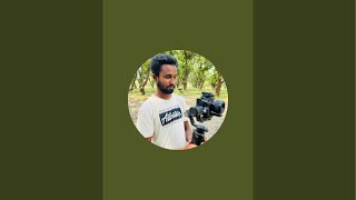 চায়না দুয়ারী জাল ফেলতেই ভরে গেল নদী মাছের ঝাঁকে  Net Fishing In Village #reels #fishingtrap #foryou
