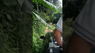 #bintong