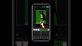 #noediting #editingapps #editingvideo #editingphotos #editingskills #supportiveedit