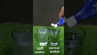 🔥🔥 Ujala & salt water|| Simple science experiment|| Easy Science Experiment #shorts #trending