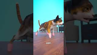 This is why you shouldn’t declaw your cat