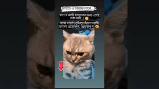 মায়া জিনিসটা বড়
