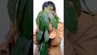 #biology #science #sciencefacts #biologyclass12 #targetboardexam