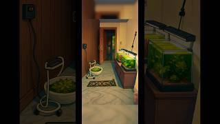 #ghibli #aquarium #aquarium #aquascapegallery #fish #fishtank #aquariumlife #aquariumfish