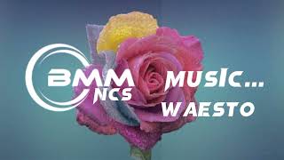 Waesto - Mean So Much No copyright music Background music (Bmm NCS)