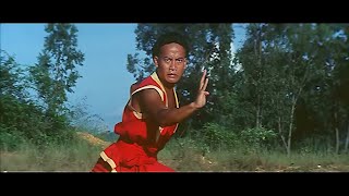 The South Shaolin Master (1984)
