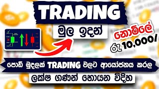 How To Invest In Cryptocurrencies For Beginners | Trading for beginners sinhala. Full Course