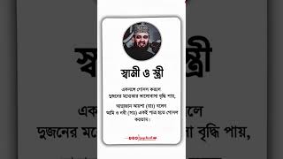 স্বামী-স্ত্রীর ভালোবাসার গোপন রহস্য! ❤️ এক পাত্রে গোসল করলে কী হয়? | ইসলামের দীপ্ত বাণী