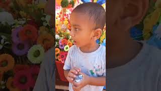 Shots Video