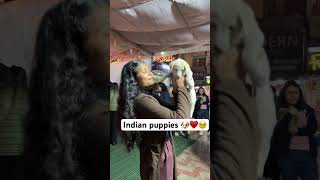 Happiness ♥️🐶 #bhopal #bhopal_news #cutedog #cutedogs #puppies #puppyvideos #puppetshow #puppylife