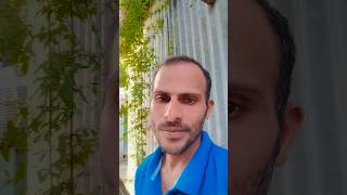 #nancysong #music #newsong #nancy #habibwahidnewsong #banglasong #ha #আমারদিনগুলোসবযায়হারিয়েআধারে