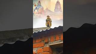 mangal bhavan amangal hari status song / #shorts  #hanumanji  #trending