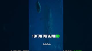 Facts video. | #facts #viral #ytshorts #shorts #whale