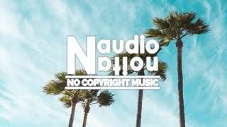 Chasing Palm Trees - Ehrling (Free to Use Music for Intros)(No Copyright Background Music for Vlogs)